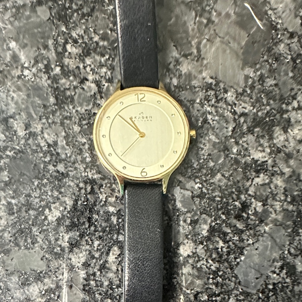 Skagen Black Leather and Gold Watch